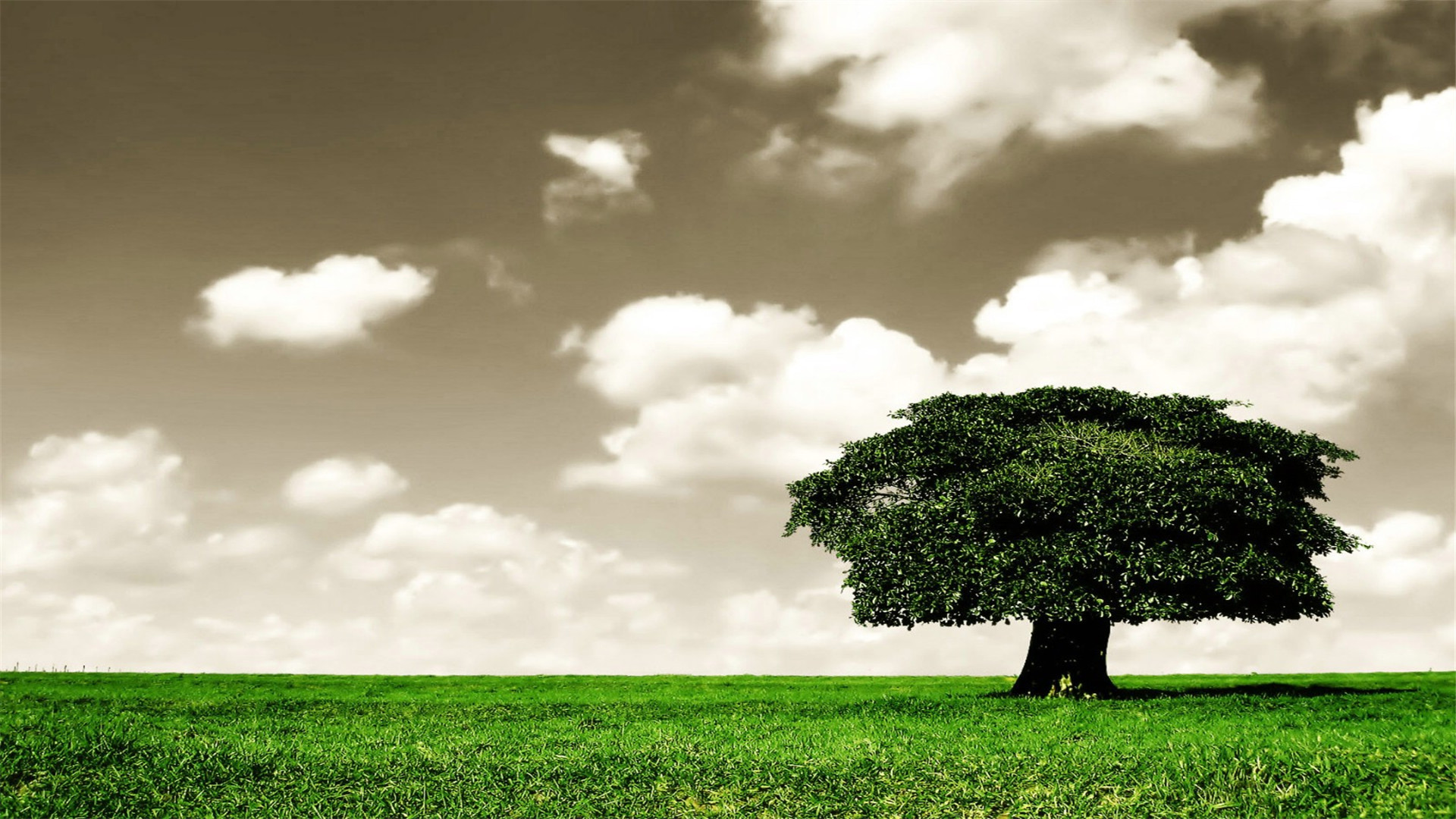 蓝色护眼壁纸唯美图片,最美的护眼桌面壁纸