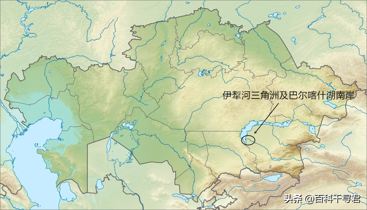 如何让灭绝的物种复活,怎样才能复活灭绝后的动物