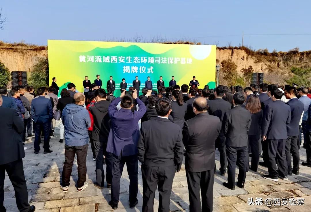 陕西黄河流域生态保护范围,陕西十大行动保护黄河流域生态