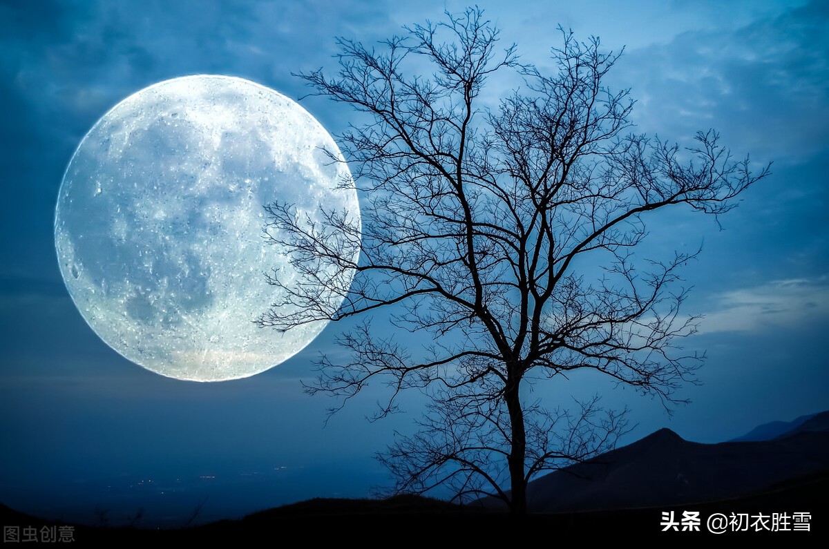 描写中秋圆月的诗词全文,关于中秋圆月的诗和词语