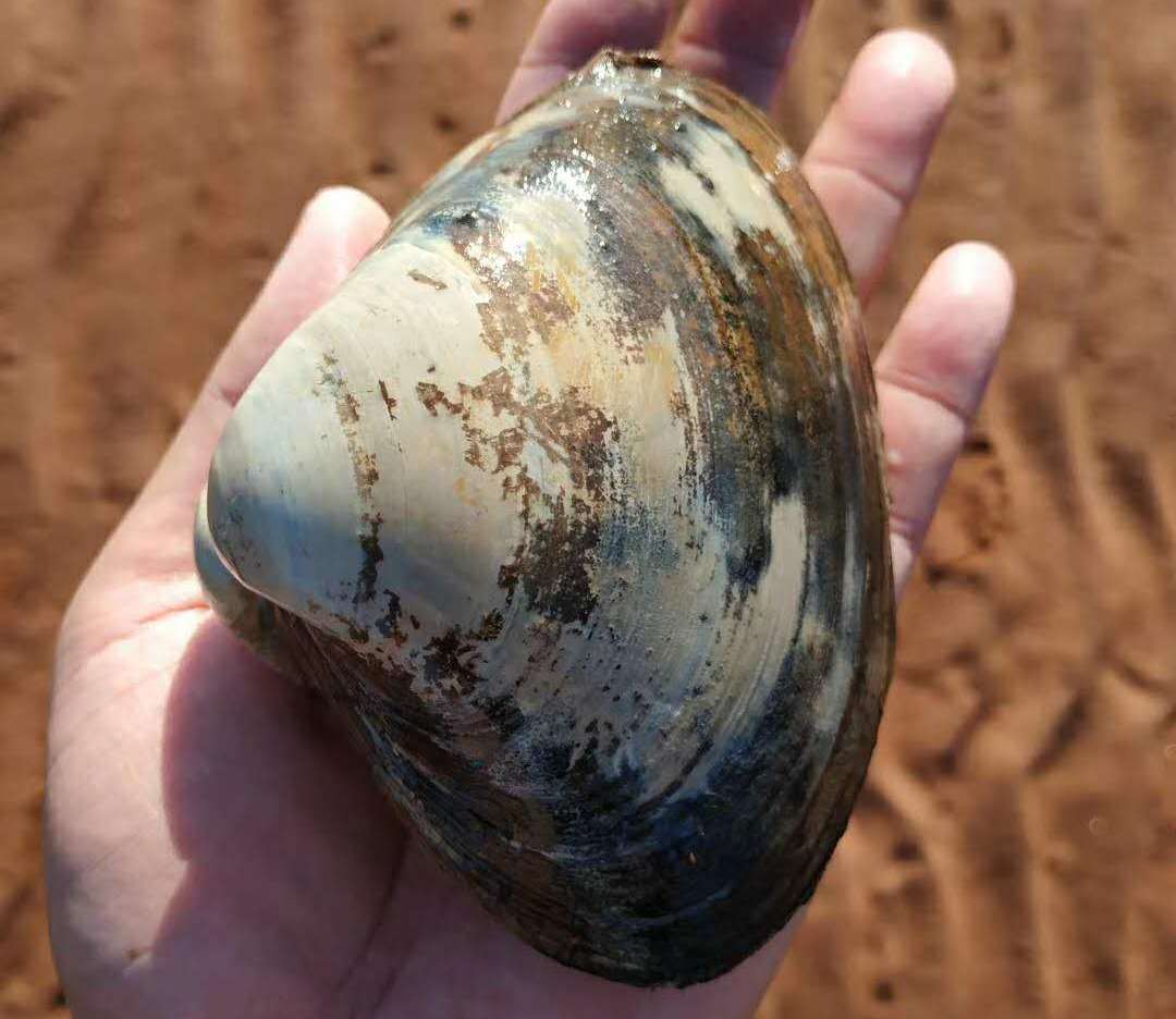 爱德华王子岛旅游,爱德华王子岛避暑之旅