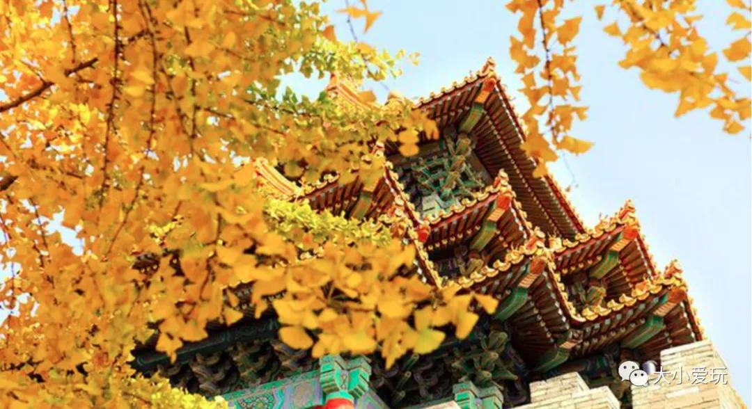 北京红螺寺银杏最佳观赏时间,北京赏银杏景区有哪些