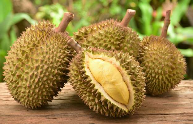 禁食猪肉的国家有哪些,禁食有毒食品