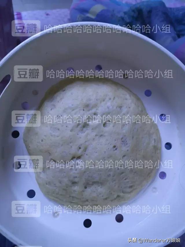 多亏这些宝藏网友,让我笑到免疫力增强