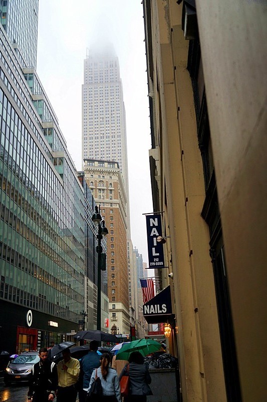 美国华盛顿旅游详细攻略,纽约华盛顿自由行旅游攻略最新