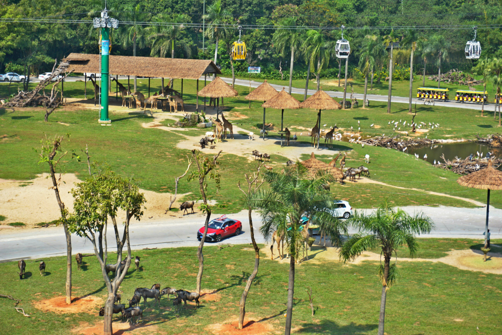 常州恐龙园和珠海长隆哪个好玩,珠海长隆海洋王国好玩吗