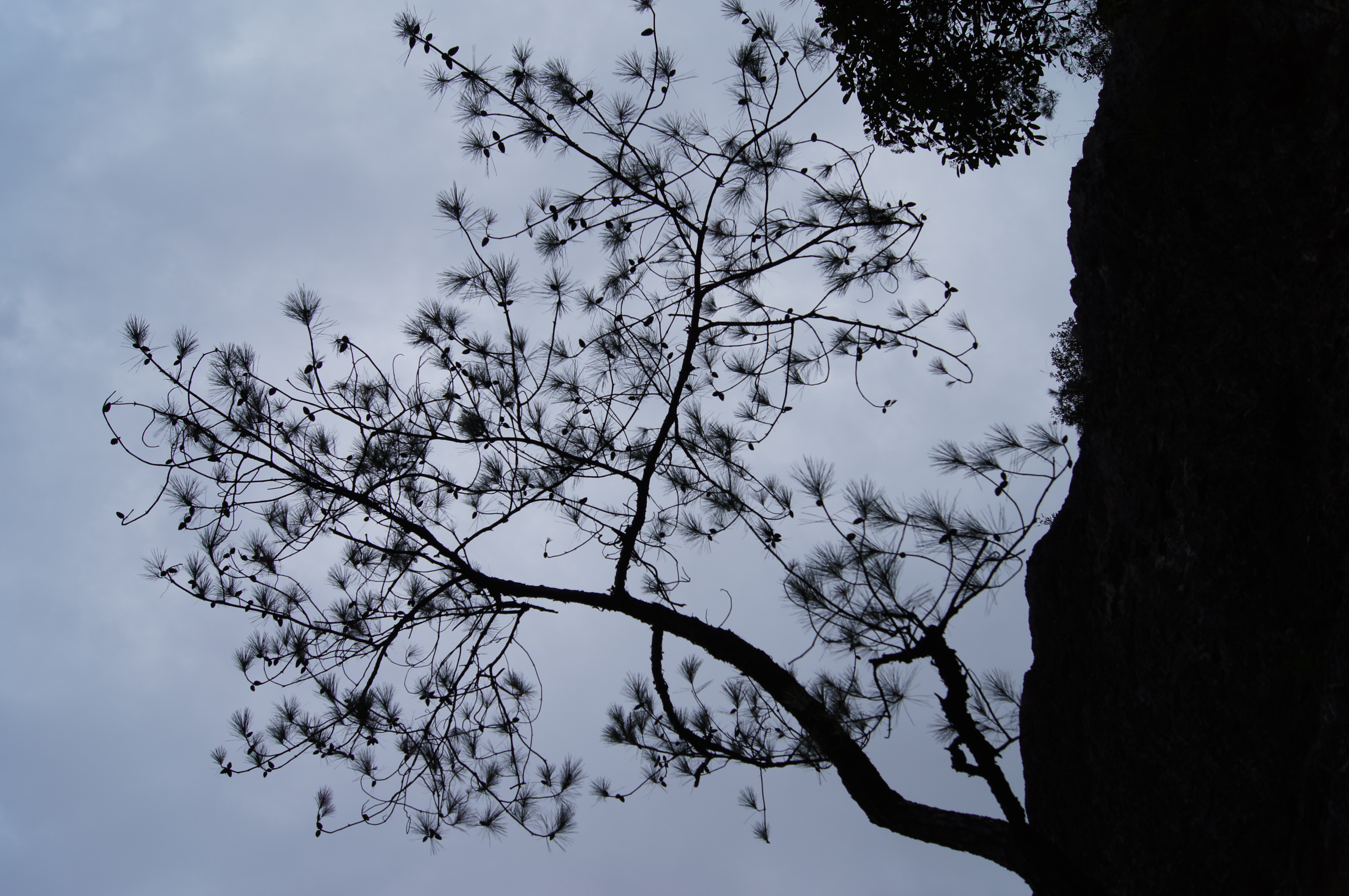 永泰百漈沟瀑布航拍,永泰百漈沟瀑布群