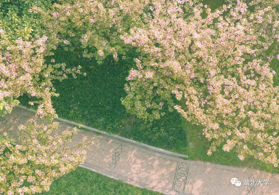 2023年考研报考人数继续飙升,考研关注