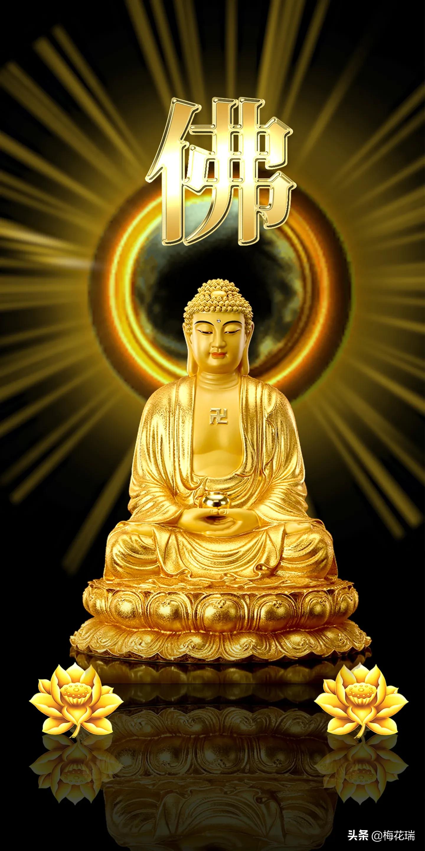 杀生可以放生吗,不忍心杀生最后还是要放生