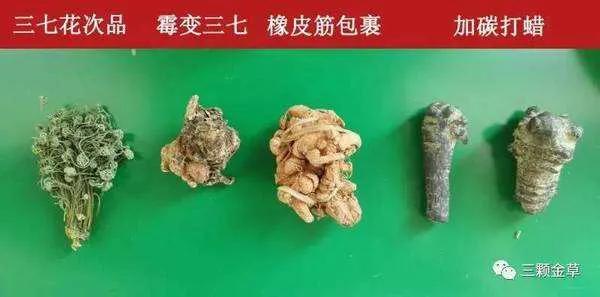 中医养生误区多是什么意思,养生误区土三七不是三七别乱吃