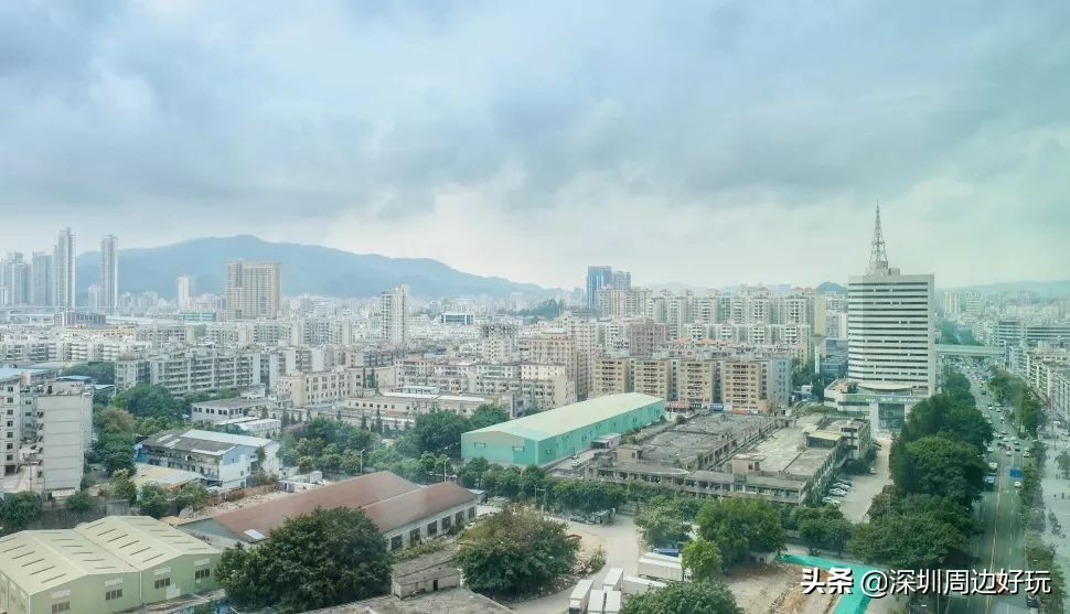 住在深圳的人,住在深圳的市民