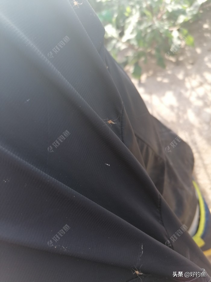 阿克苏毕业季,再见新疆阿克苏原版