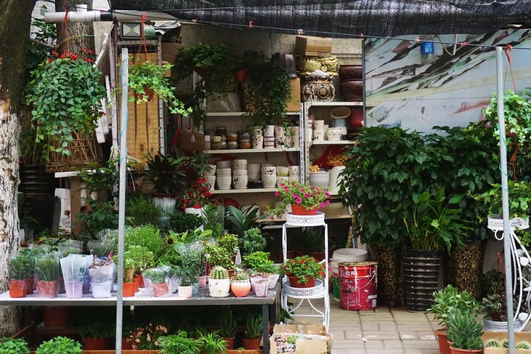 <html>
<head><title>502BadGateway</title></head>
<body>
<center><h1>502BadGateway</h1></center>
<hr><center>nginx</center>
</body>
</html>
<!--apaddingtodisableMSIEandChromefriendlyerrorpage-->
<!--apaddingtodisableMSIEandChromefriendlyerrorpage-->
<!--apaddingtodisableMSIEandChromefriendlyerrorpage-->
<!--apaddingtodisableMSIEandChromefriendlyerrorpage-->
<!--apaddingtodisableMSIEandChromefriendlyerrorpage-->
<!--apaddingtodisableMSIEandChromefriendlyerrorpage-->
