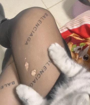 猫咪没坏心眼视频,猫咪没有坏心思在线阅读