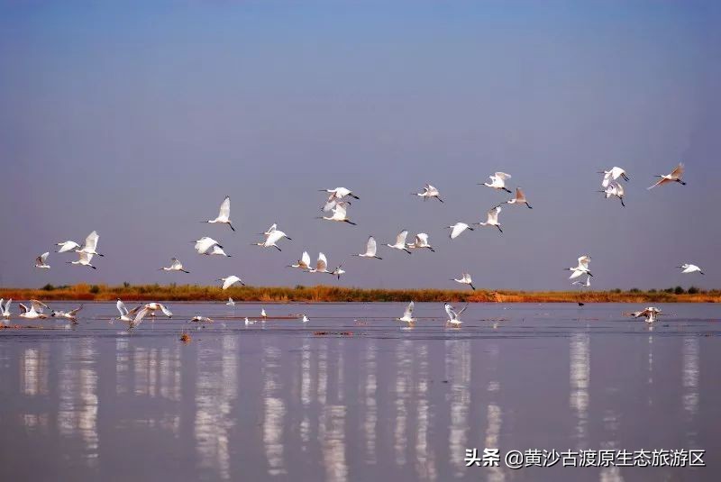 黄沙古渡原生态旅游区五一,宁夏黄沙古渡五一人流量
