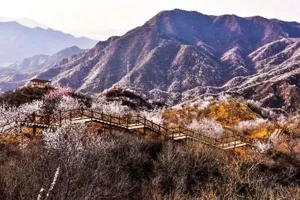 京郊四月美景,京郊四月