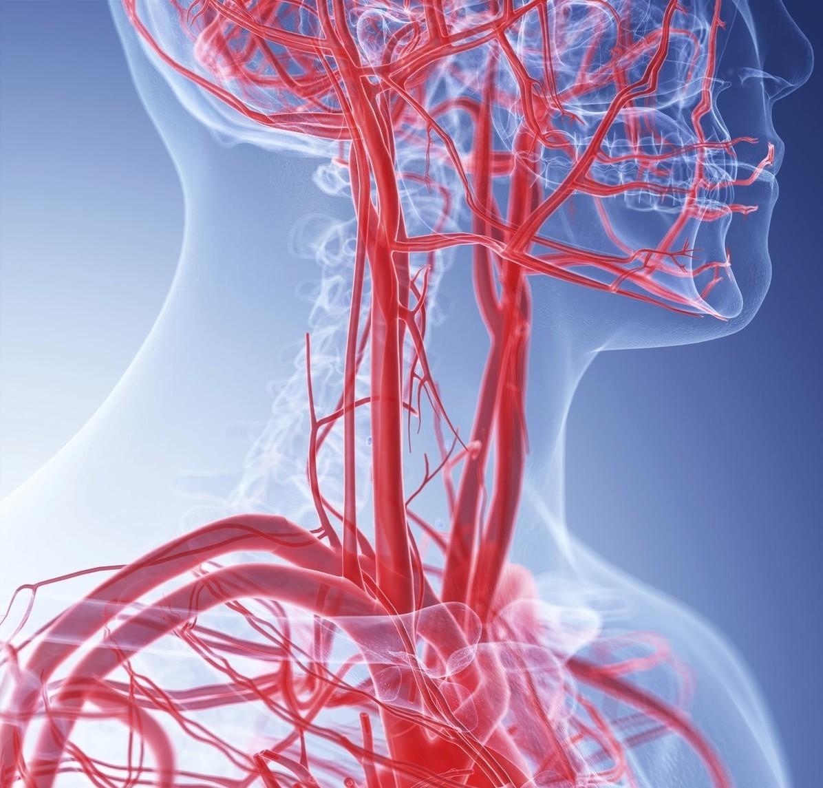 高血压的舒张压偏高是怎么回事,高血压舒张压偏高是怎么造成的