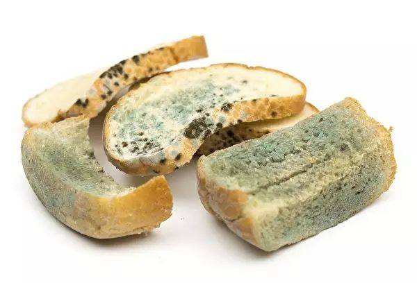 发霉的食物一定要扔掉吗,发霉的东西还是不要吃了吧