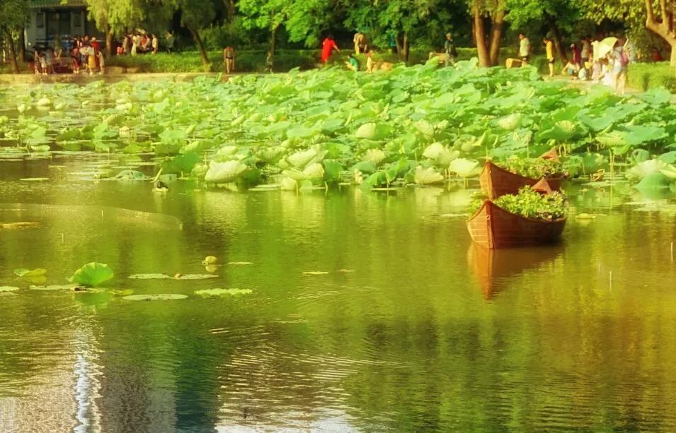 湖泊风景区推荐,深圳十大免费主题公园