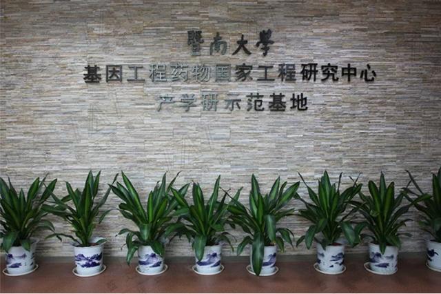 诚信是大生意,暨大美塑tat属于什么档次