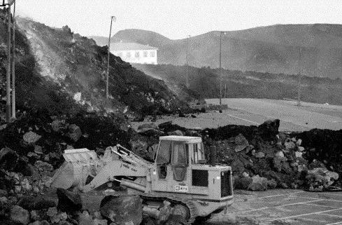 山上“飞”来只火凤凰，这里的居民却要杀掉它？