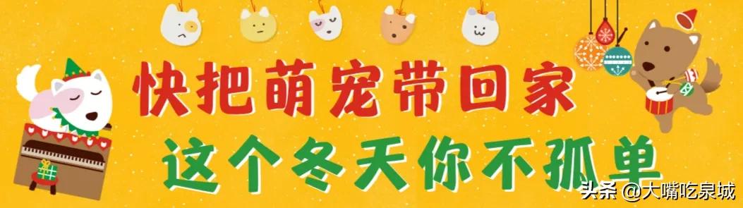 麦咖啡盲盒限定发售,还有隐藏款!快来把你的萌宠带回家吧