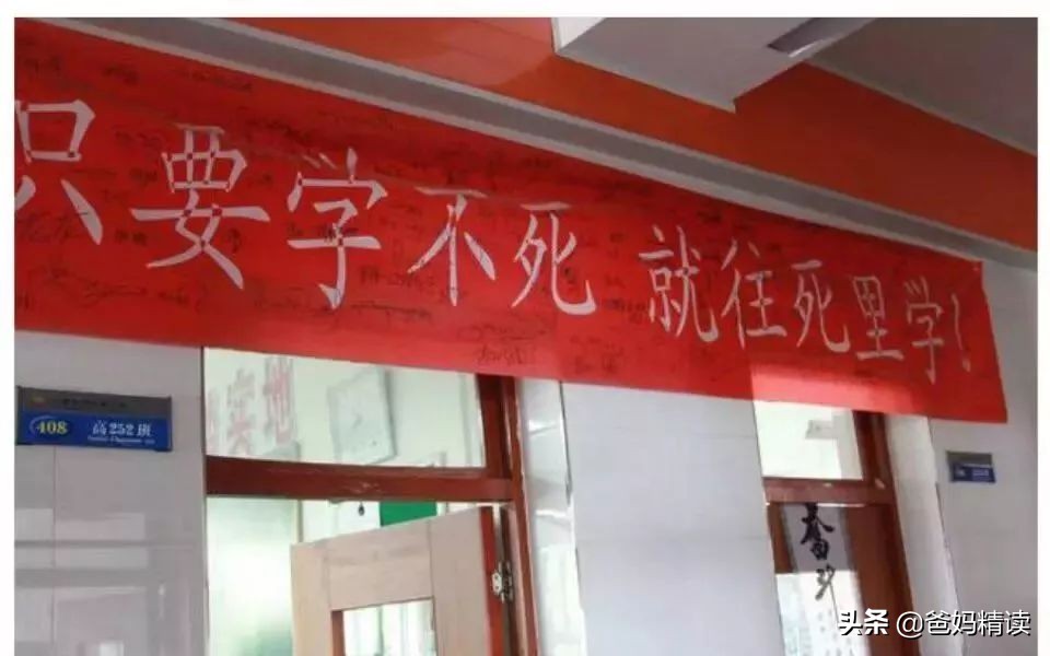 每天进步一点点孩子,每天学习一点点让孩子少走弯路