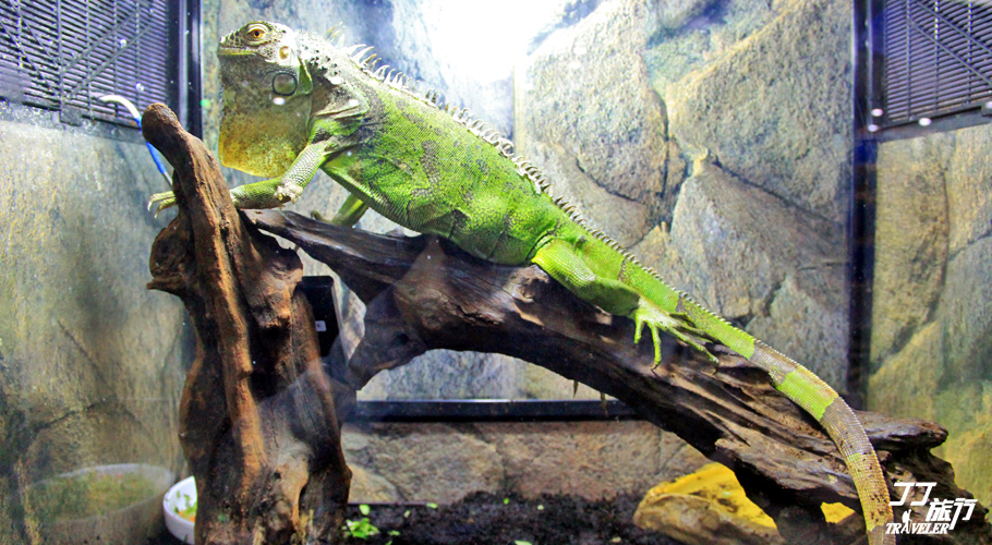 青岛最大的海洋世界在哪里呀,山中有海海上有门是谁写的