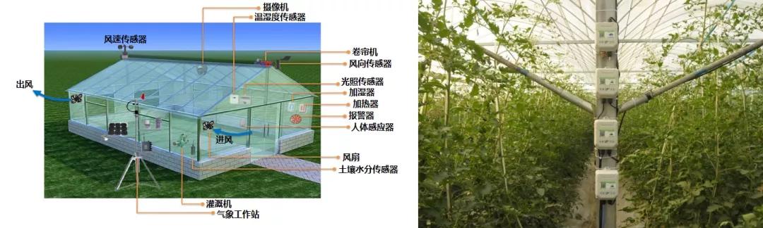 乡村振兴五个振兴内容,乡村振兴5g创新服务平台项目
