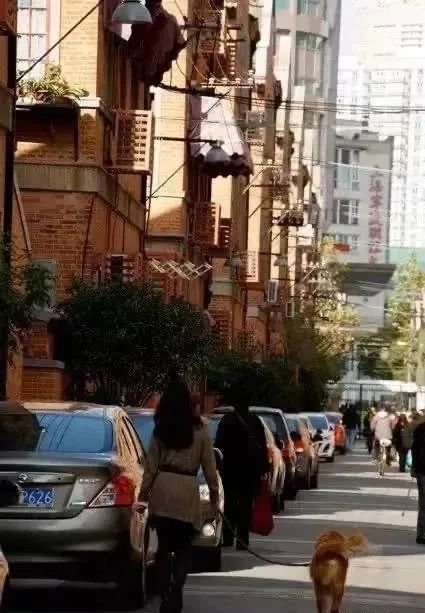 静安欧式别墅阳光房,静安复古阳光房