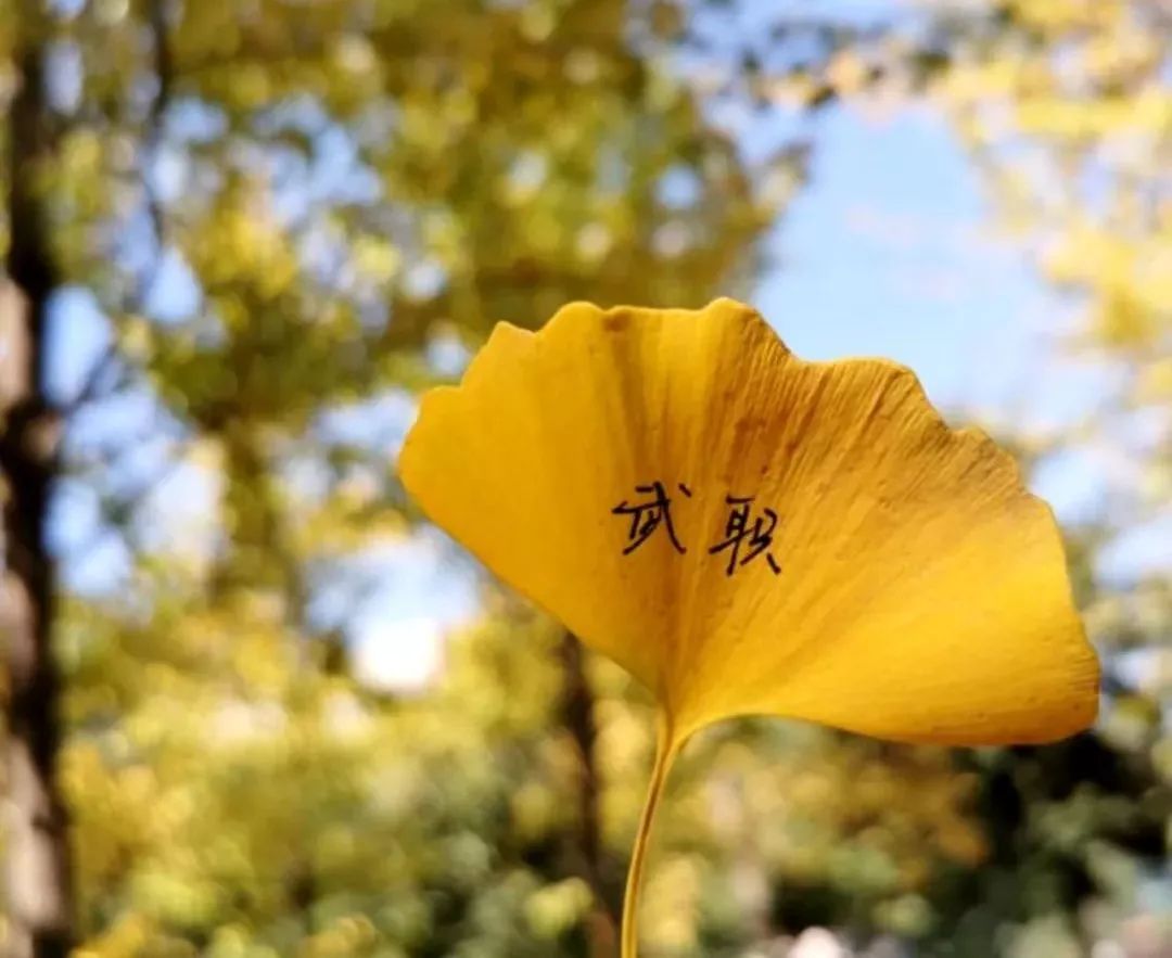 武汉职业技术学院校园风采,武汉职业技术学院风景