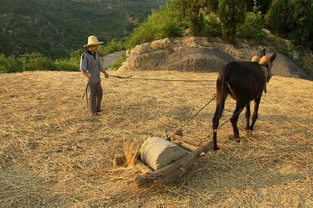刘传说的真实故事,遂平民间故事蔡岗的传说