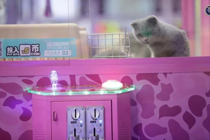 北京秋叶原娃娃机加盟,秋叶原娃娃机抓娃娃