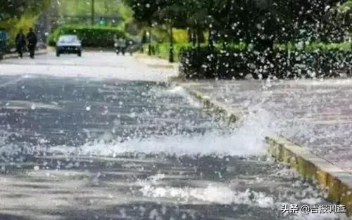 杨树飞絮过敏怎么治,杨柳飞絮过敏怎么防治