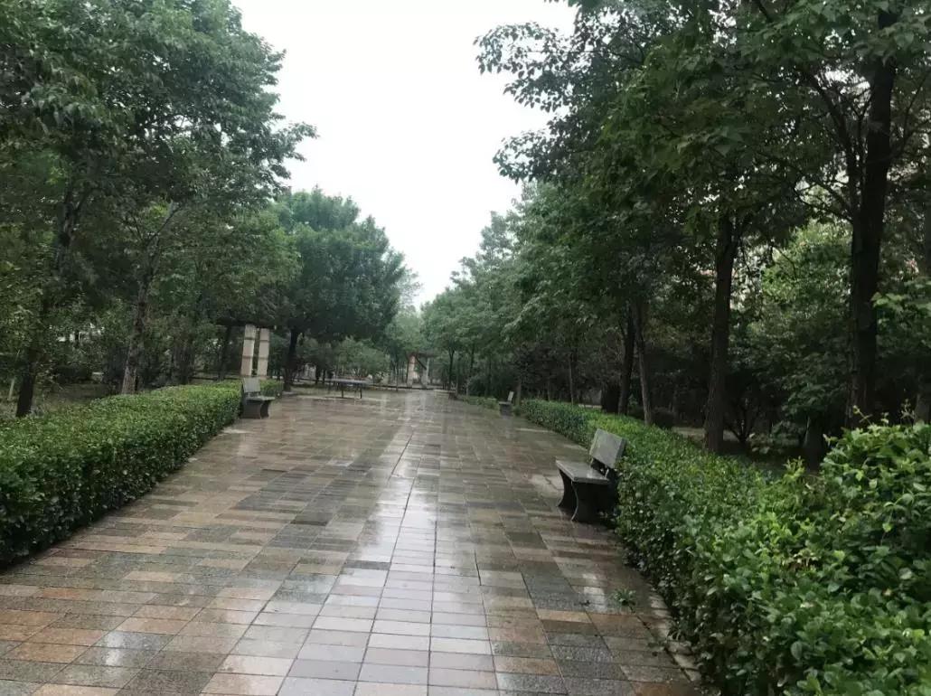 新划进光明中学的这个老小区，位置真好！还不贵