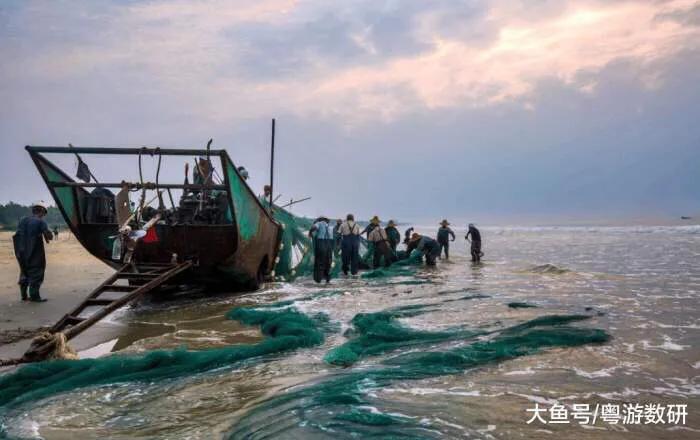 茂名电白区人口,茂名电白区面积最大的镇