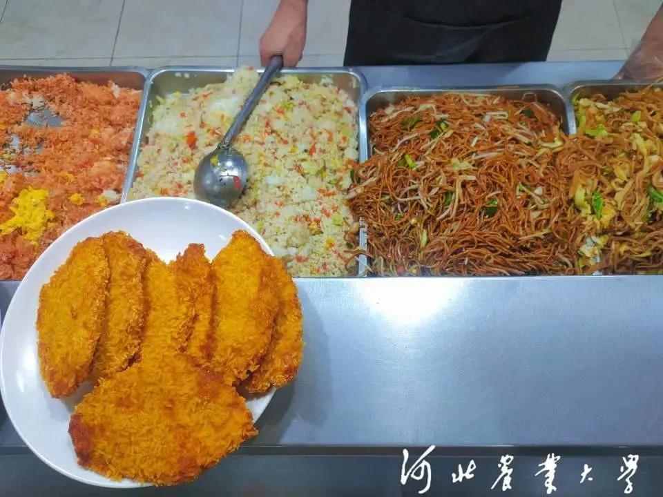 “河大的美女农大的饭”干饭人不能错过的河北农业大学来啦