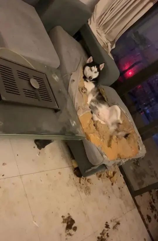 体检社死,体检死亡事件