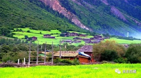 【走*藏西**】具有药用功效的波密温泉，有机会的话可去泡泡……