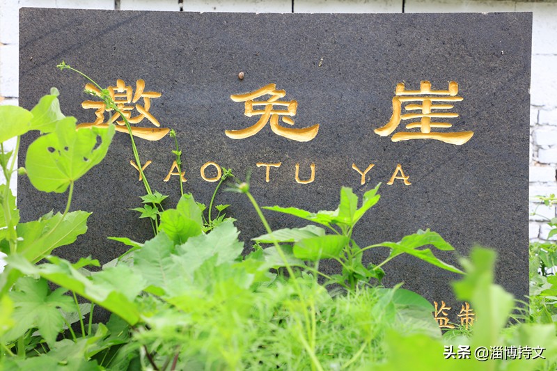 瑙︽懜涔℃剚鍙よ瘲鍥剧墖,瑙︽懜涔℃剚