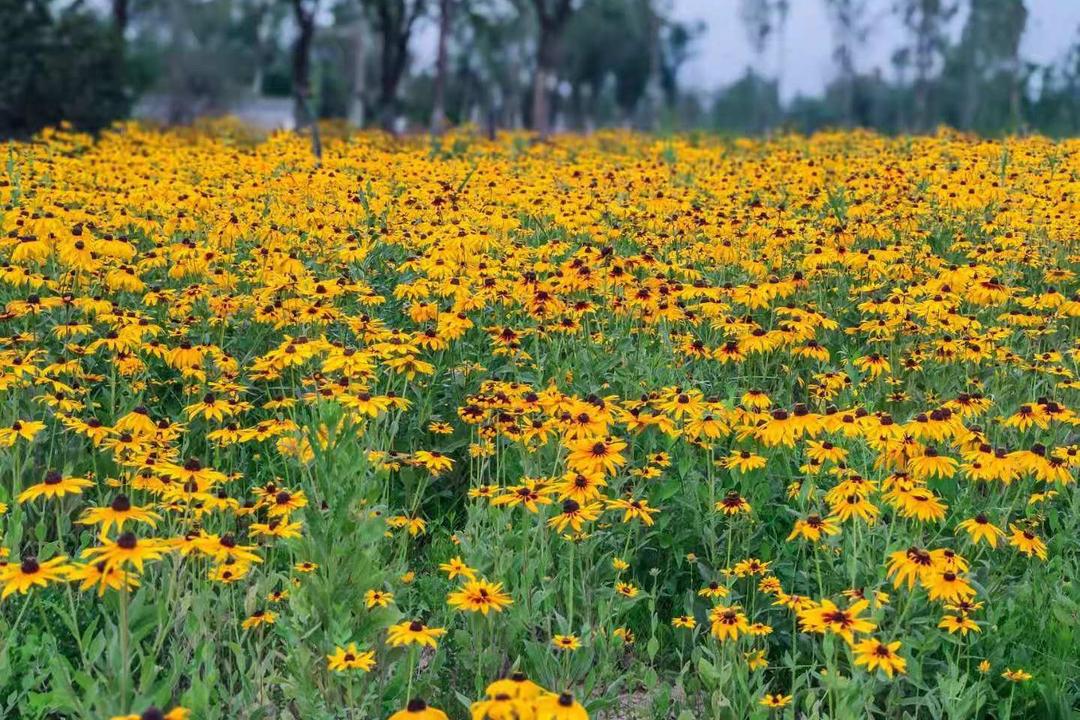 在济南花式避暑，一见“清”心！只需一瞥，便足以把酷夏原谅…
