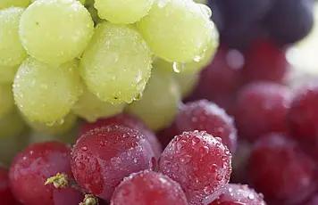 提子和葡萄有什么区别吗,夏黑提子和葡萄的区别