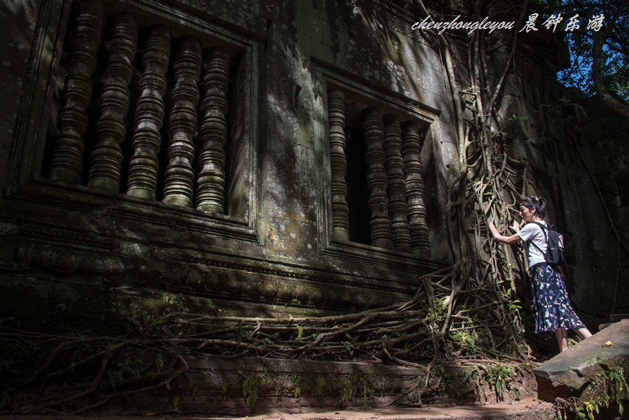 崩密列的简介,崩密列的详细介绍