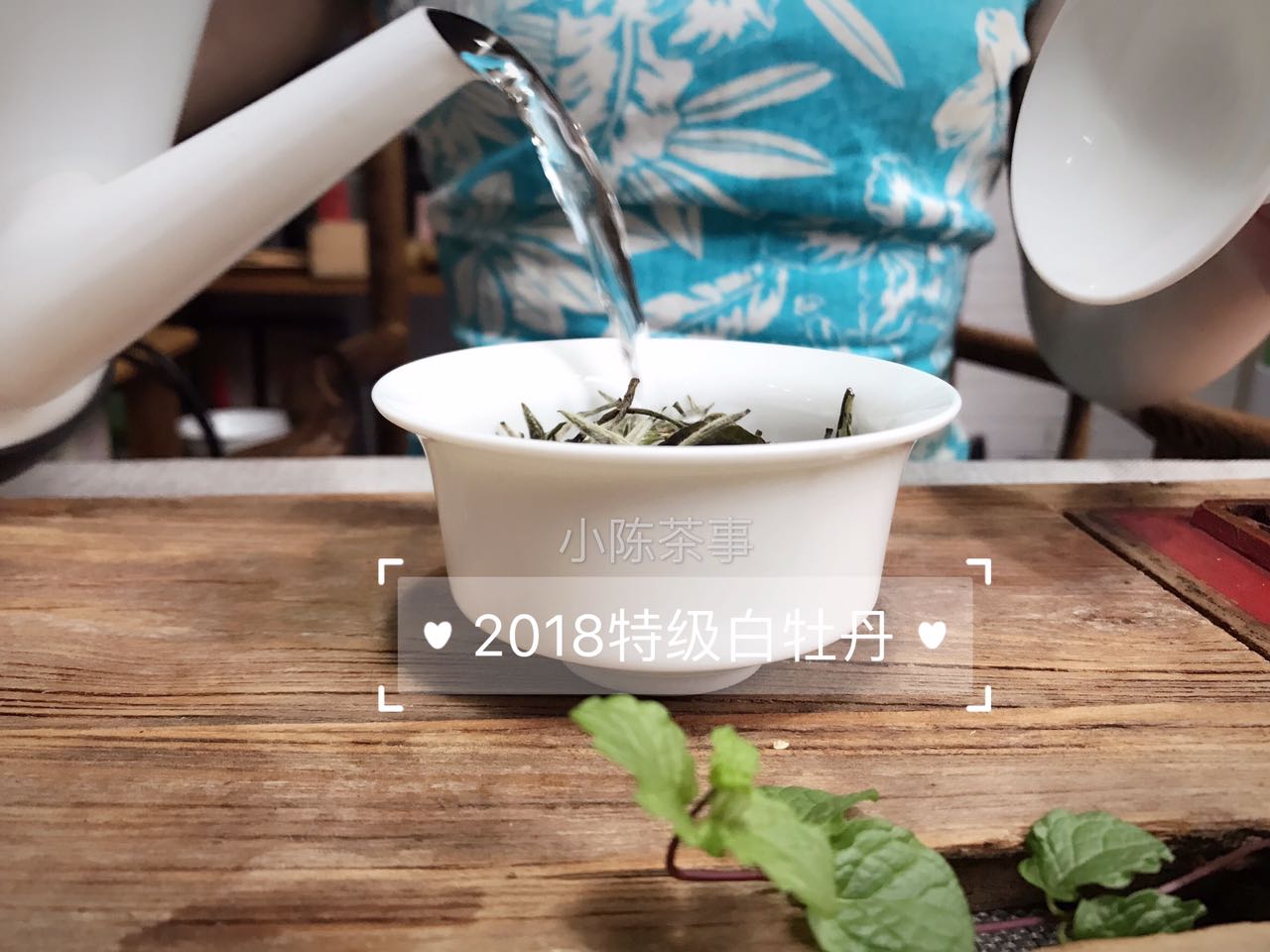 绿茶红茶白茶黑茶适合什么季节喝,普洱茶属于黑茶红茶还是绿茶黄茶