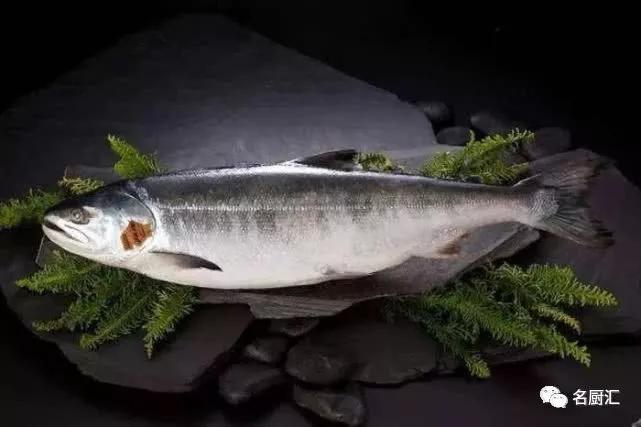 世界高端海鲜品牌,世界顶级海鲜在哪里