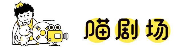 漂亮的三花猫欣赏,最迷人的三花猫