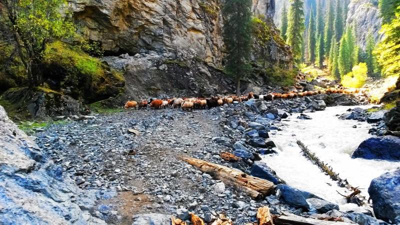 带上UL从狼塔C回家