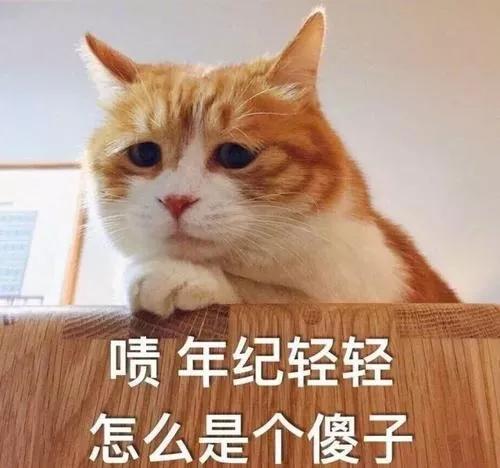 眼霜哪款才是真正有效好用的,眼霜排名十大公认好用的眼霜平价