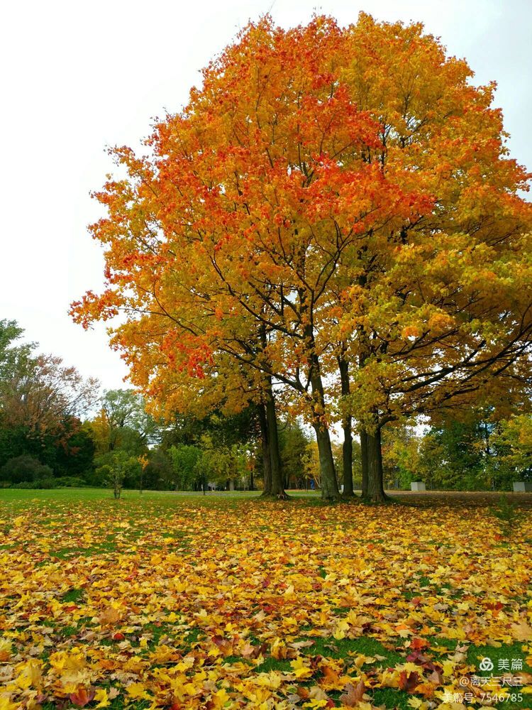 玉泉山北坞公园介绍,北坞村玉泉山