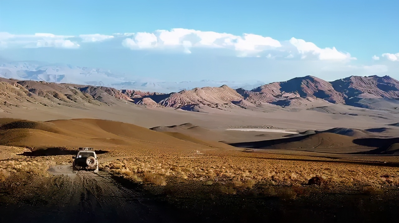 龙猫饲养全科普,科普饲养龙猫小知识